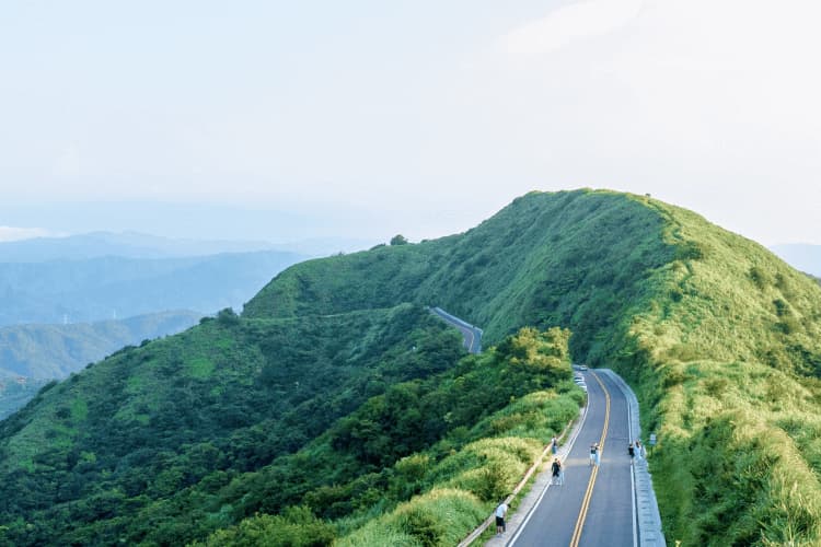 層層把關，精煉出最佳的投資存股選擇